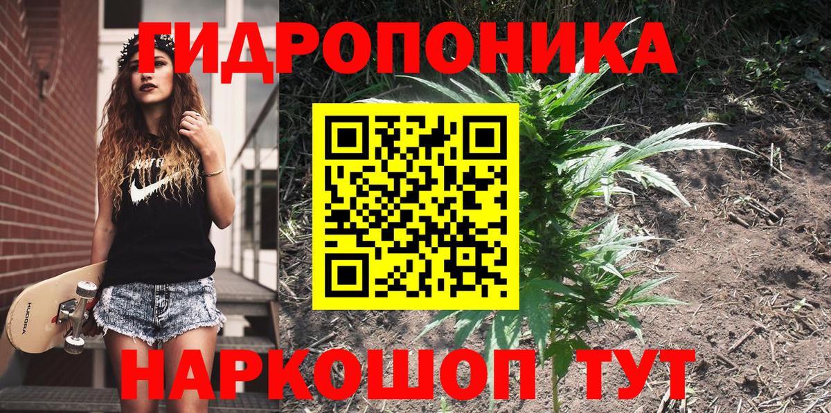 Кызыл  Бошки Шишки индика  Конопля семена  Марихуана Ganja  Вход с VPN 